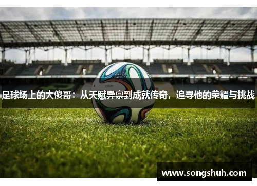 足球场上的大傻哥：从天赋异禀到成就传奇，追寻他的荣耀与挑战