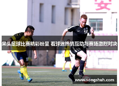 呆头足球比赛精彩纷呈 看球迷热情互动与赛场激烈对决
