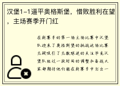 汉堡1-1逼平奥格斯堡，惜败胜利在望，主场赛季开门红