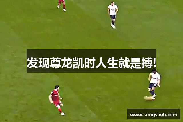 发现尊龙凯时人生就是搏!